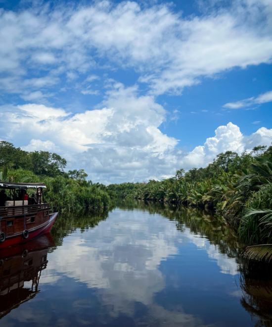 Borneo